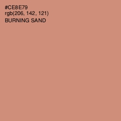 #CE8E79 - Burning Sand Color Image